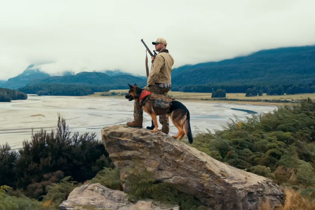 War Dogs, Brad Pitt and Eden